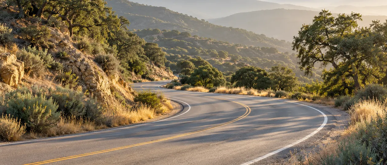 A quiet winding road passes through oak-covered foothills in warm morning light.