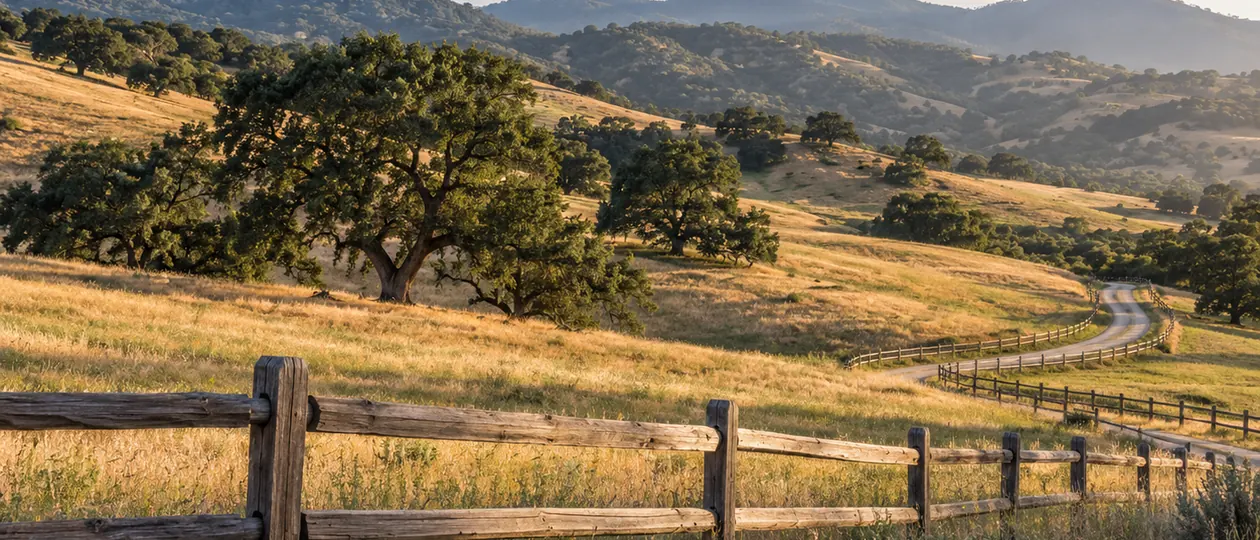 A wooden ranch fence and quiet lane cross golden hills dotted with mature oaks.